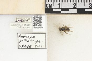 Media type: image;   Entomology 771450 Aspect: Labels